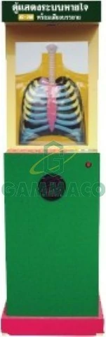 ตู้แสดงระบบหายใจพร้อมเสียงบรรยาย