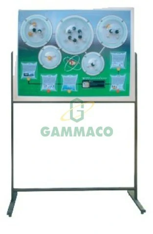 แบบจำลองโมเลกุล