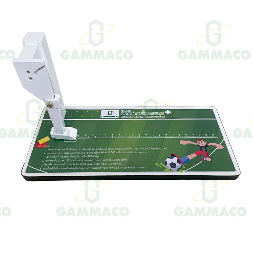 Muscular Moving Demonstration