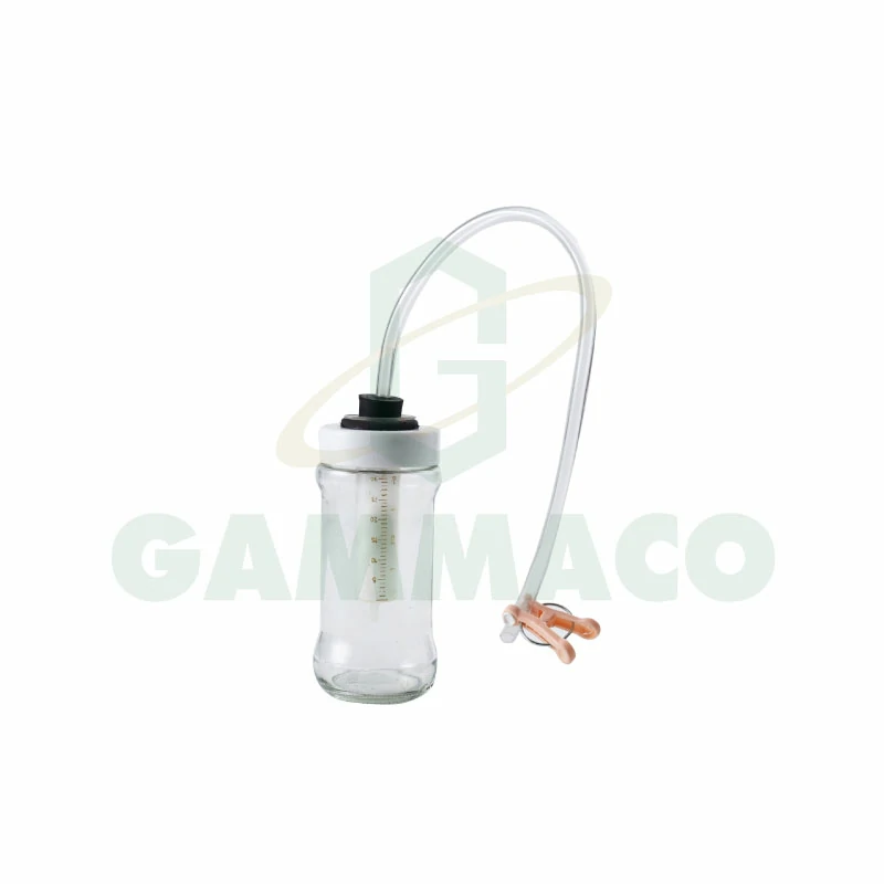 Gas preparing apparatus