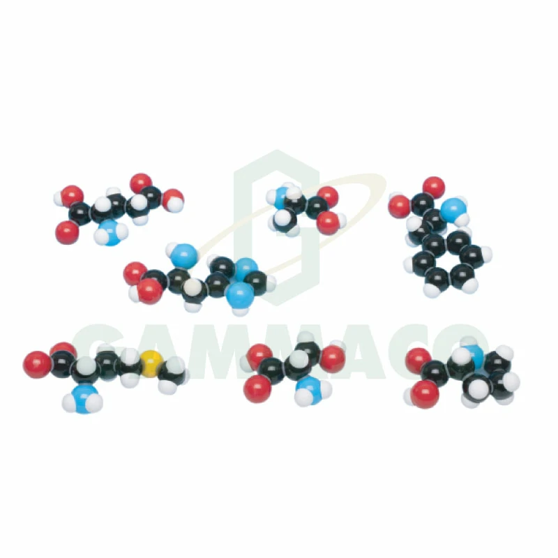 7 Amino Acid models collection set