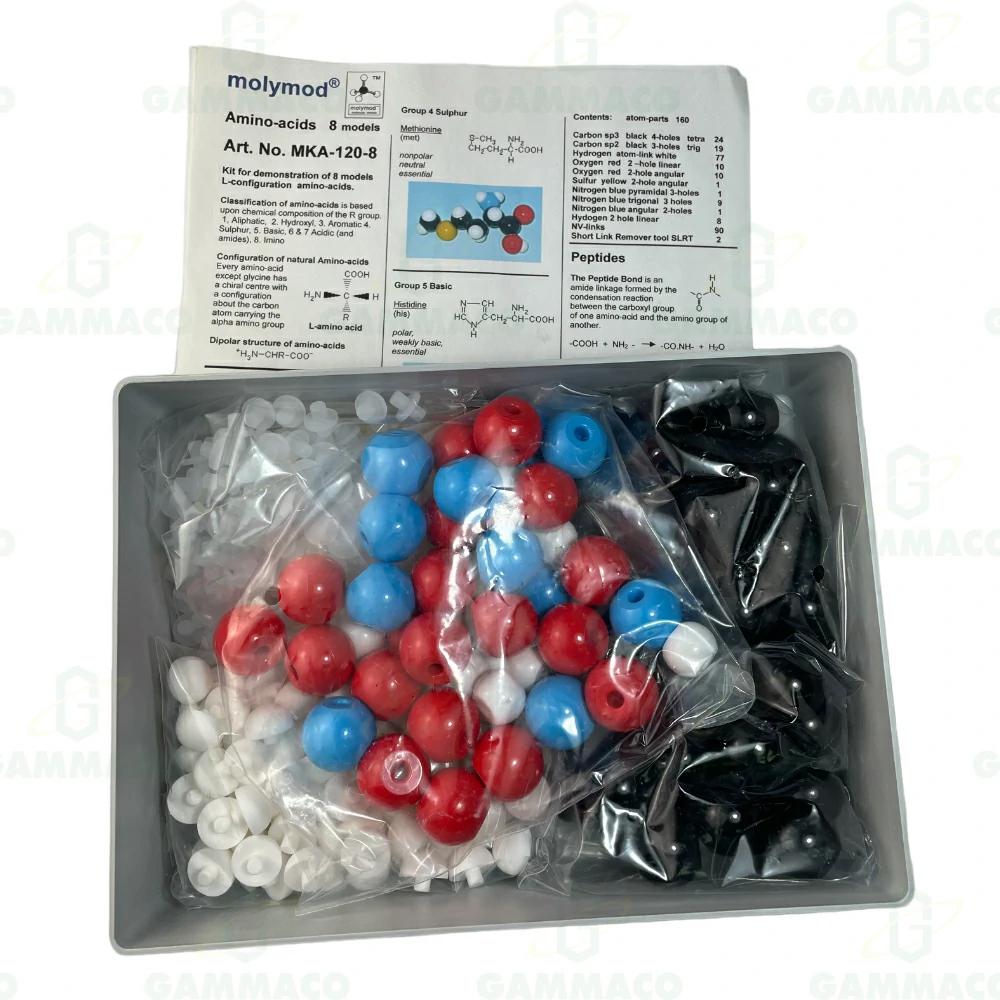 8 Model amino acid, peptide upgrade