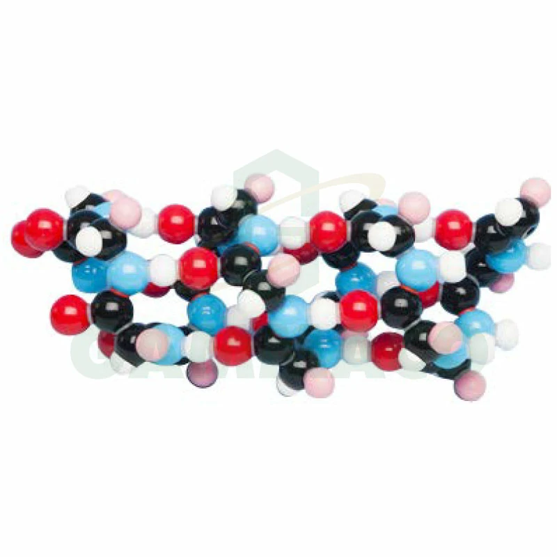 Alpha-Helix 15 Peptide units