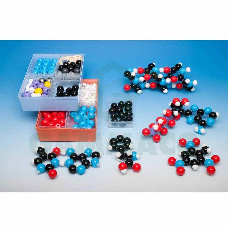 Biochemistry Teacher Set