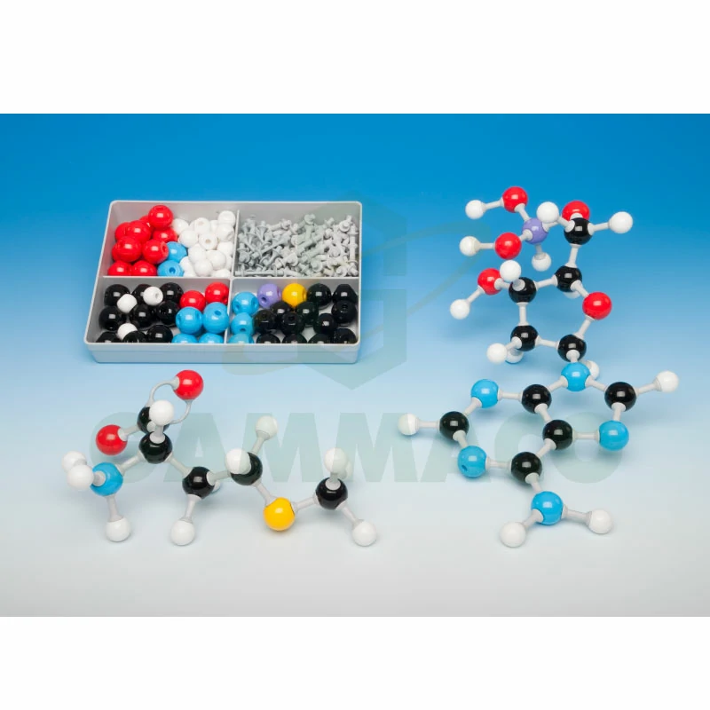 Biochemistry Student Set