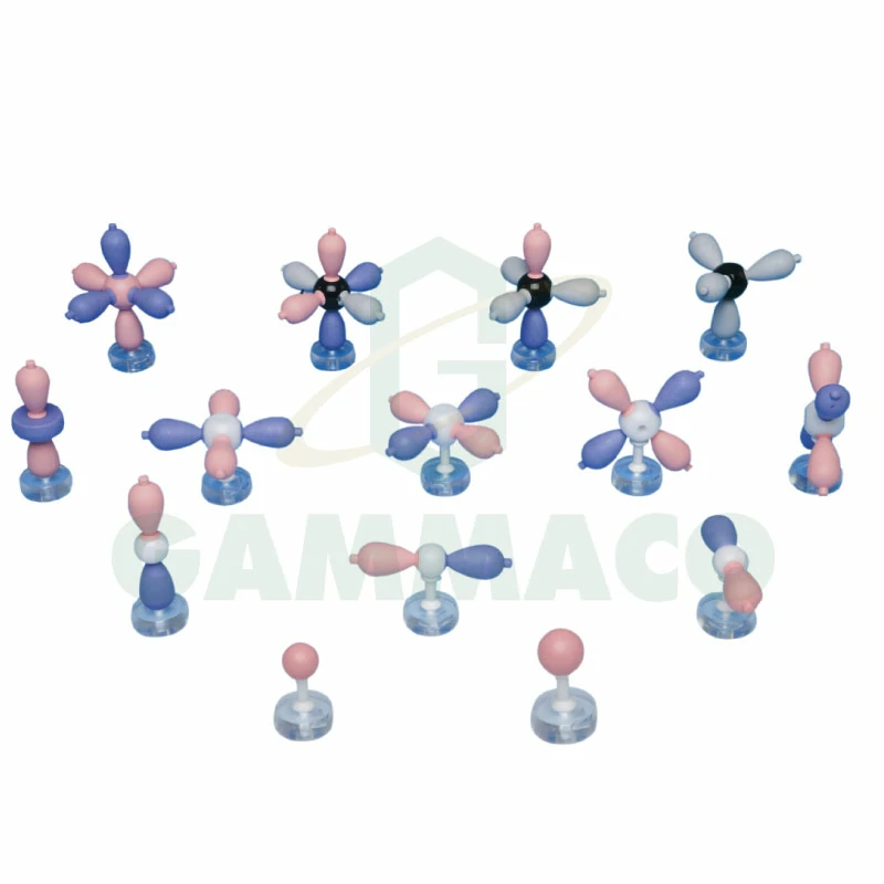 Atomic Orbital 14 Model Collection Set