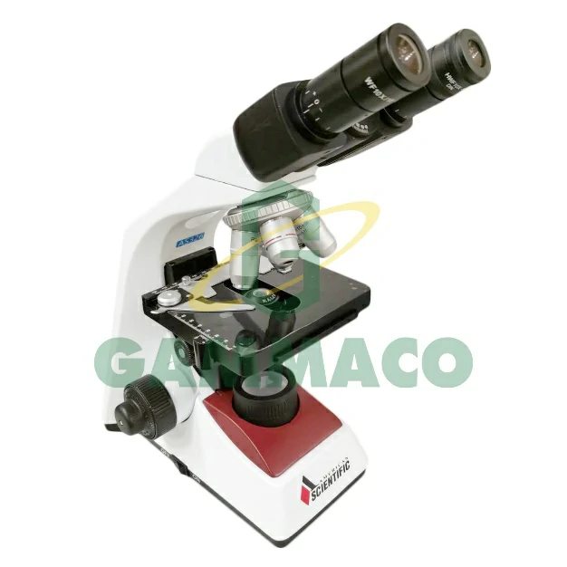 Binocular Microscope Model AS326 Halogen (American Scientific)