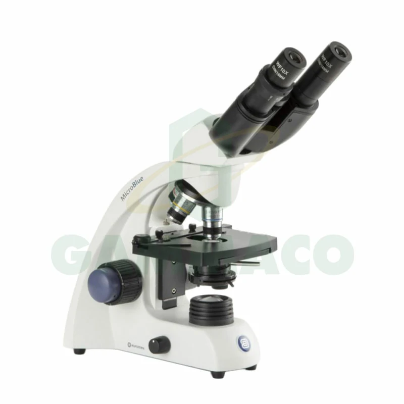 Binocular Microscope Model MB.1152 (Euromex)