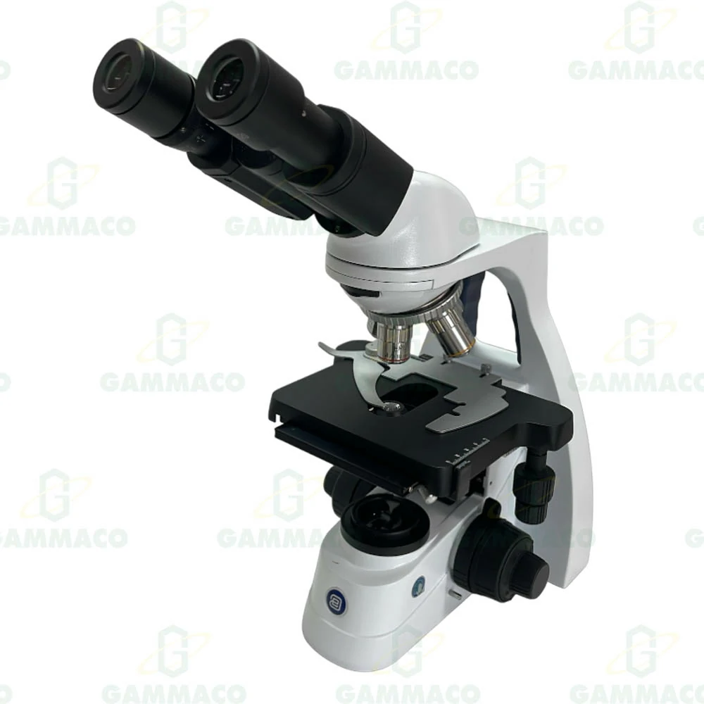 Binocular Microscope Model BS.1152-EPL (Euromex)