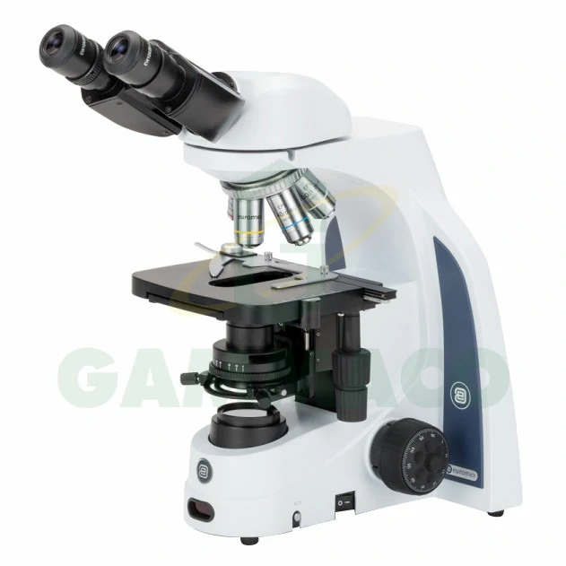 Binocular Microscope Model IS.1152-EPL (Euromex)