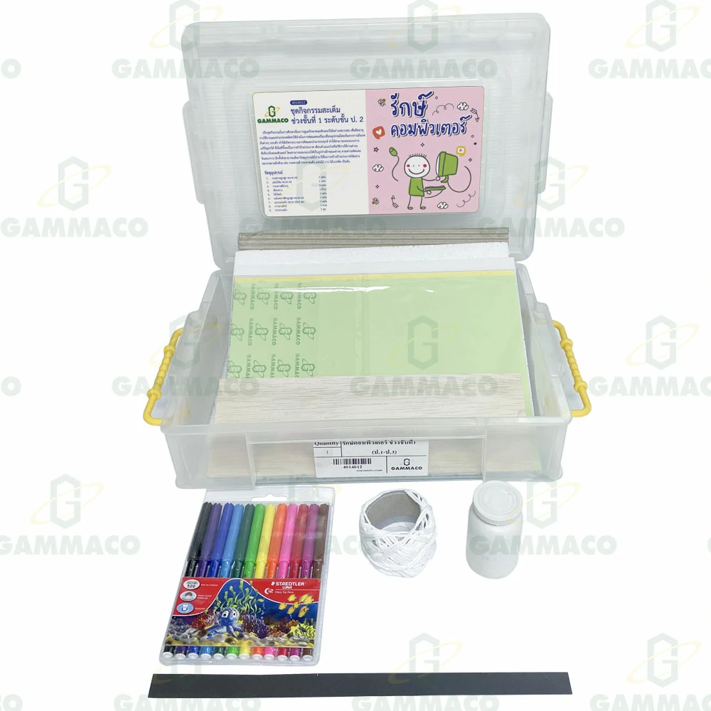 Computer Conservation Level 1 (Grade 2)