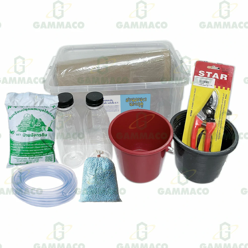 Lemon garden out of season, Level 2 (Grade 5)