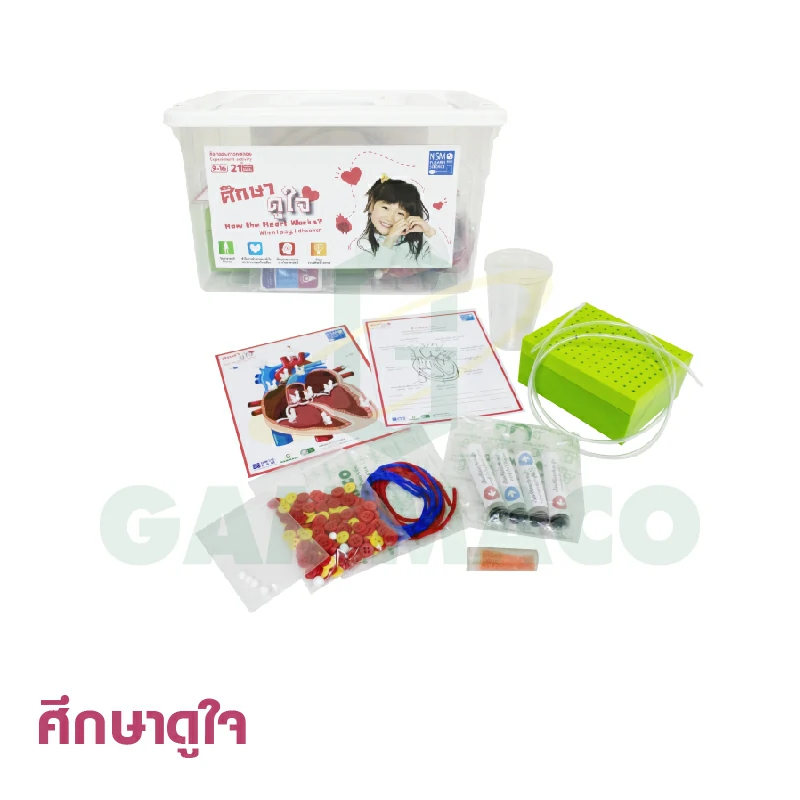 ชุดการทดลอง ศึกษาดูใจ