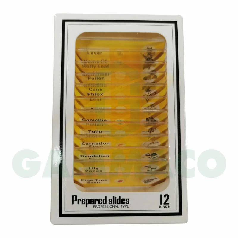 Flower Prepared Slides Sets (12 slides/set)