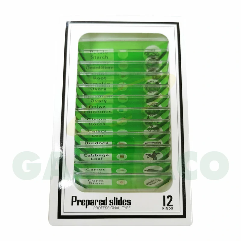 Plant Prepared Slides Sets (12 slides/set)