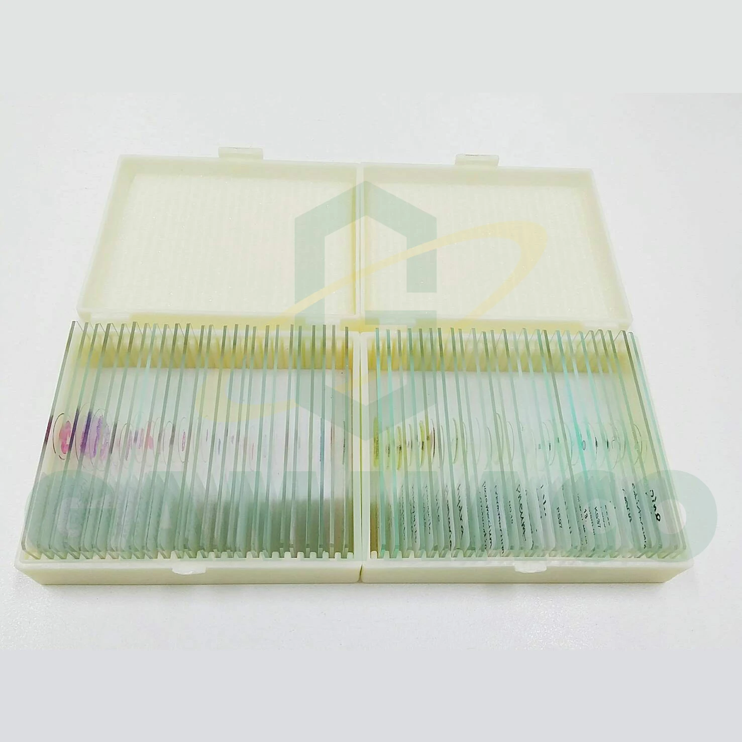 Microscope Slide, 50 slide/set