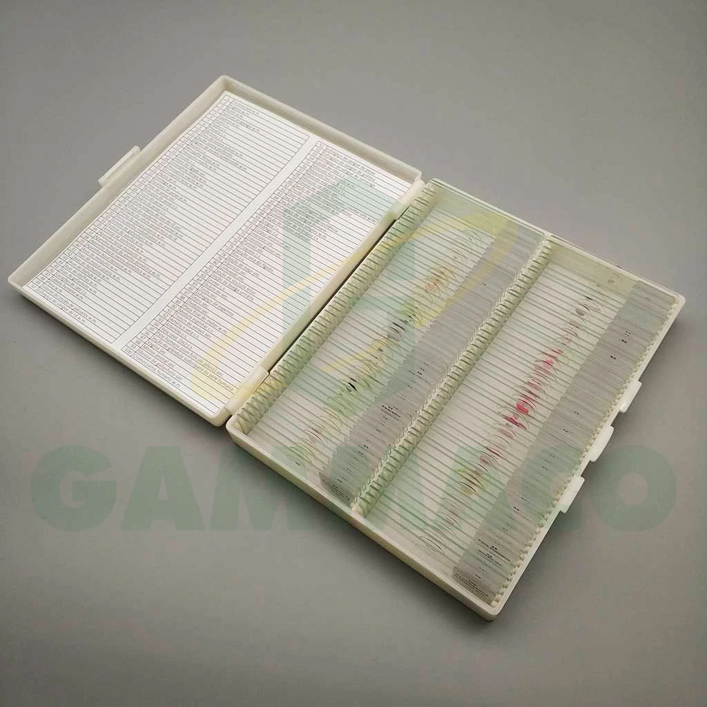 100 pcs Advanced Zoology Prepared Microscope Slides