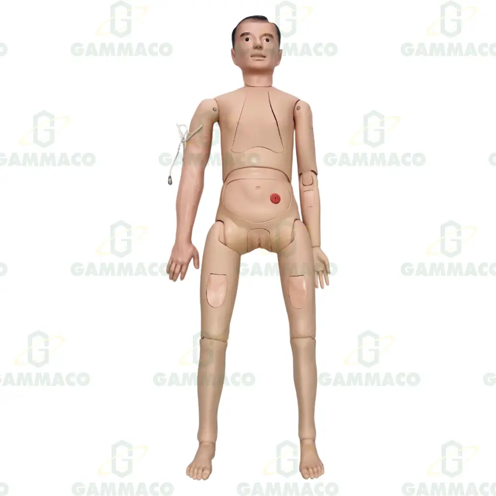 Full-Functional Nursing Manikin with Blood Pressure Simulator