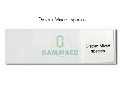 Diatom Mixed species