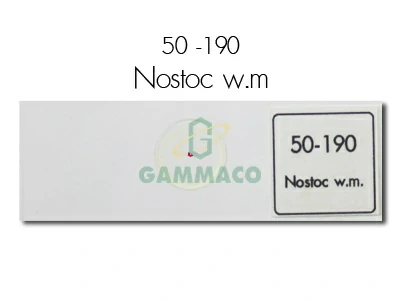 Nostoc W.m.