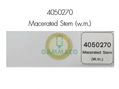 Macerated Stem W.m.