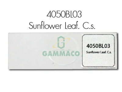 Sunflower Leaf. C.s.