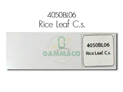 Rice Leaf. C.s.