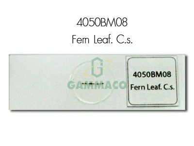 Fern Leaf. C.s.