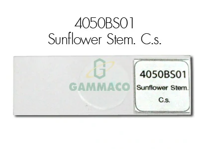 Sunflower Stem. C.s.