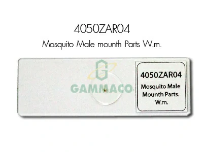 Mosquito Male Mounth Parts. W.m.