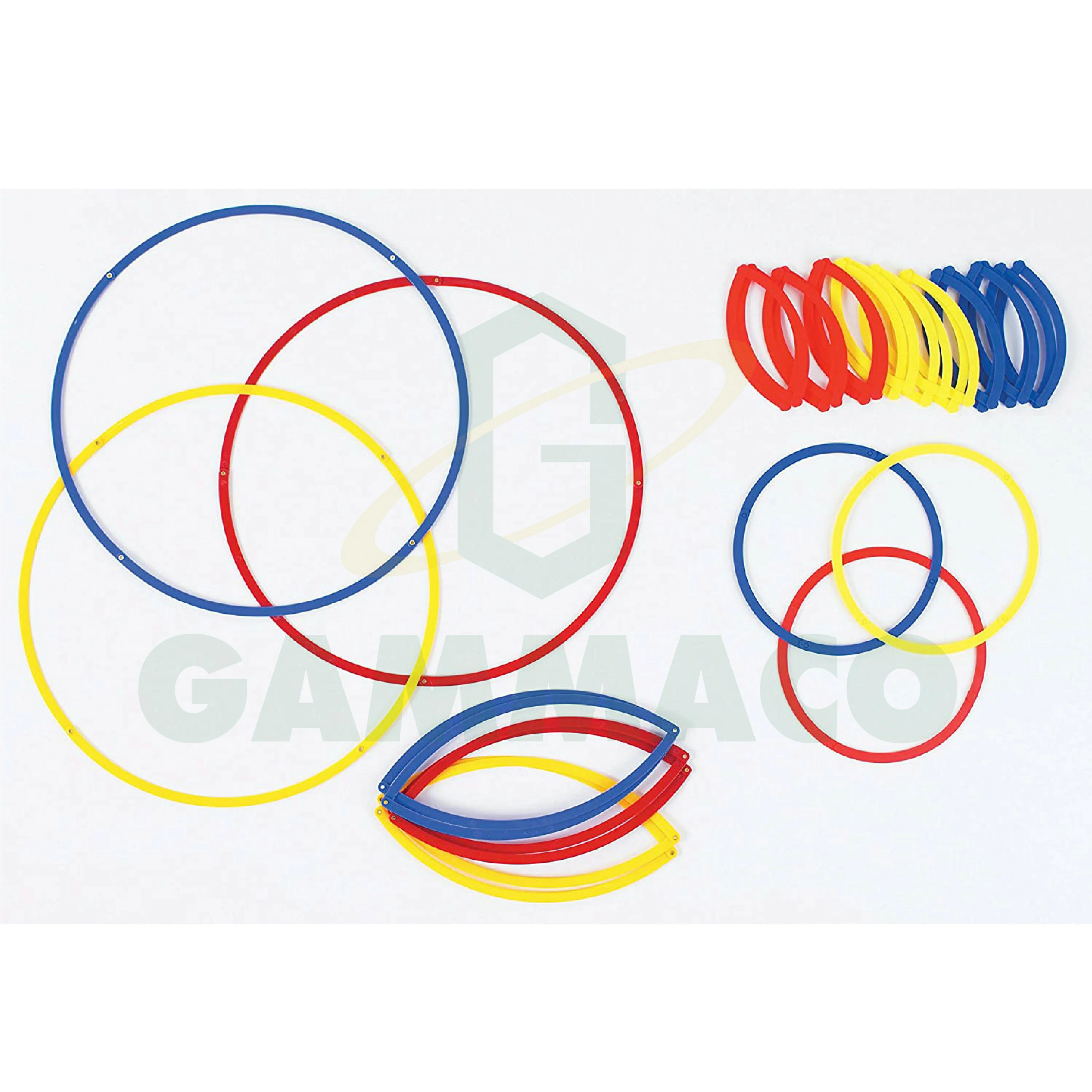 วงกลมแบ่งส่วน