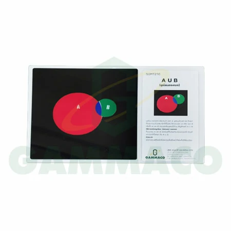 AUB (ยูเนียนของเซต)