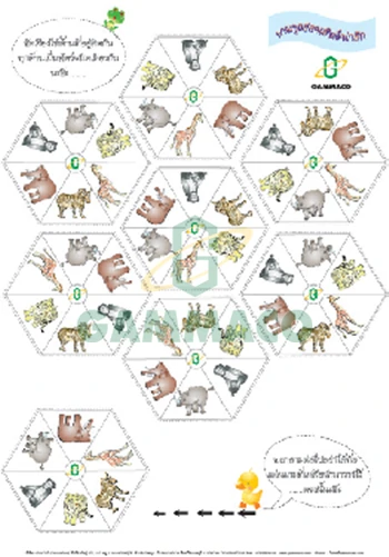 เกมชุดสวนสัตว์น่ารัก