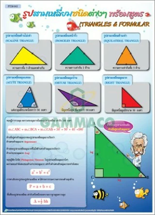 โปสเตอร์กลอสซี่ รูปสามเหลี่ยมชนิดต่าง ๆ พร้อมสูตร