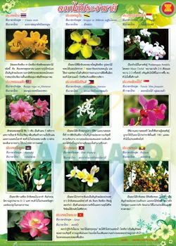 The National Flowers