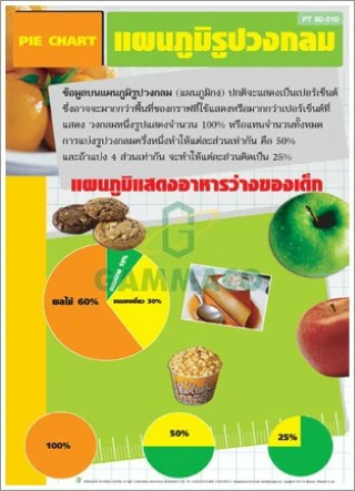 โปสเตอร์ไวนิลแผนภูมิรูปวงกลม