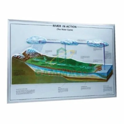 แผนภาพนูนต่ำแสดงวงจรของน้ำ