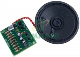 Ambulance Siren (European Sound) with Speaker, 9V Power Supply