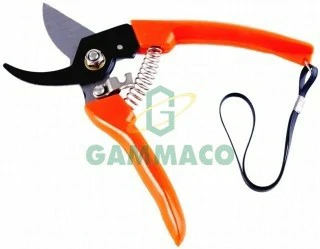 Secateurs
