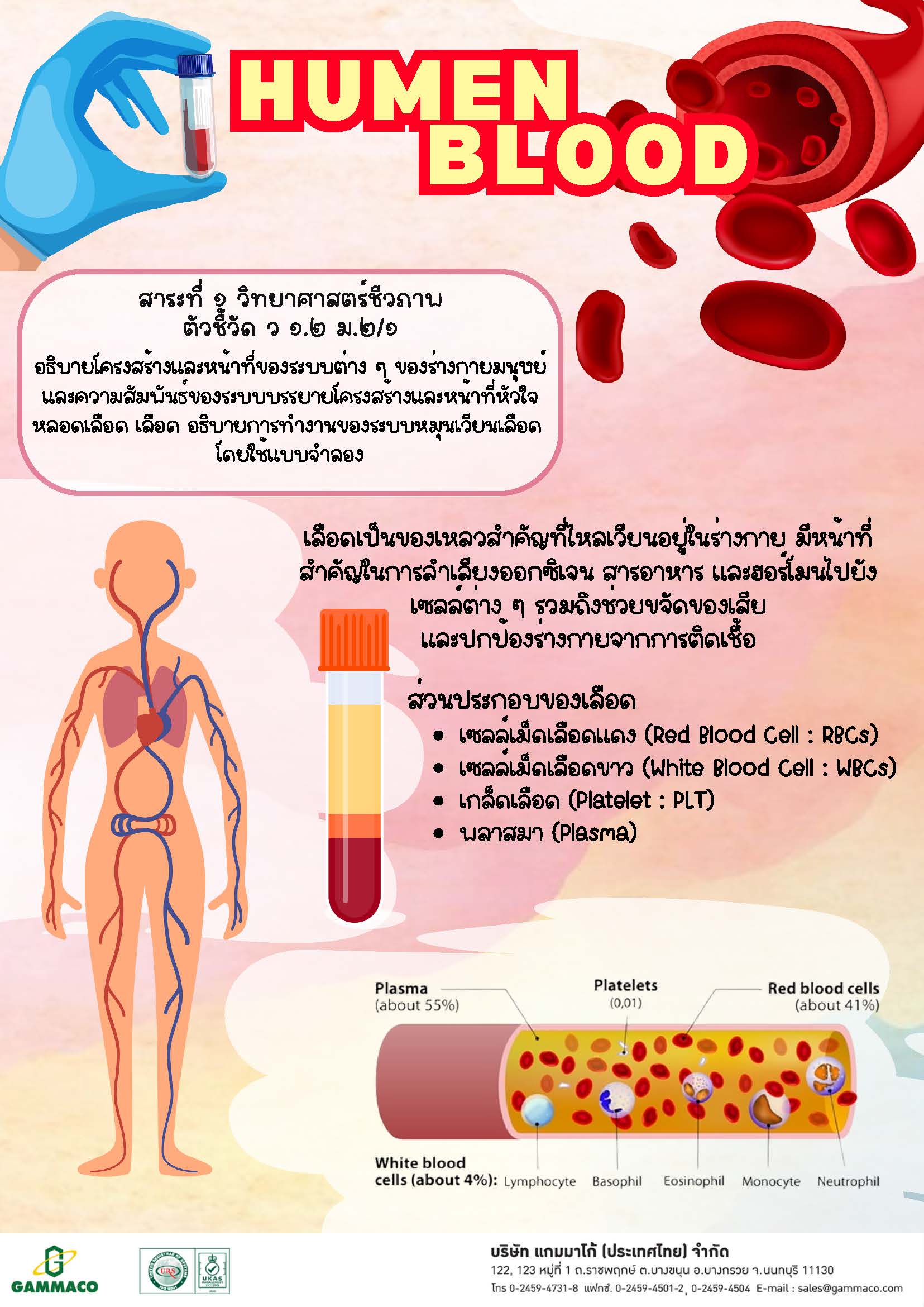 Human Blood - 1