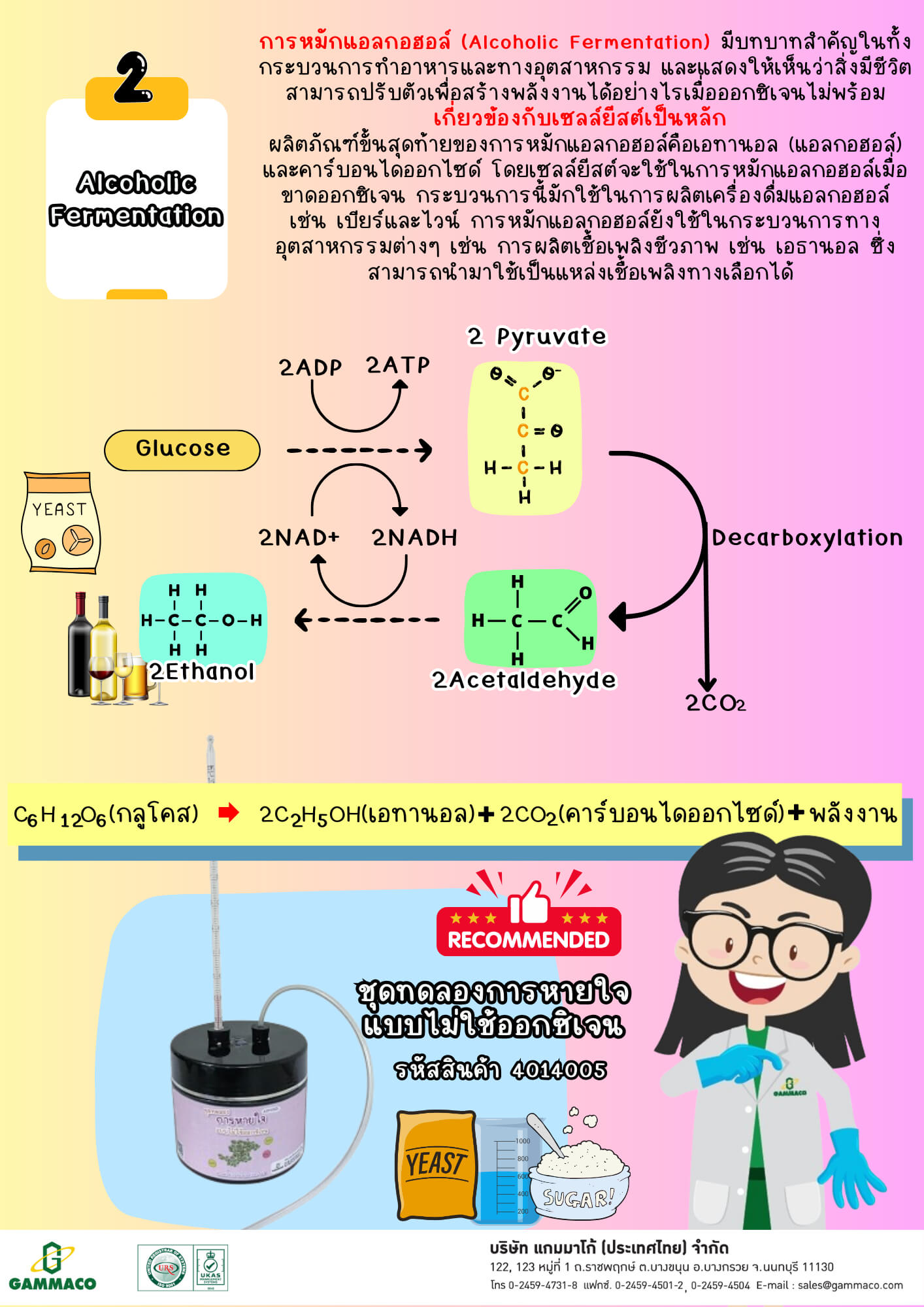 การหายใจระดับเซลล์ (Cellular respiration)