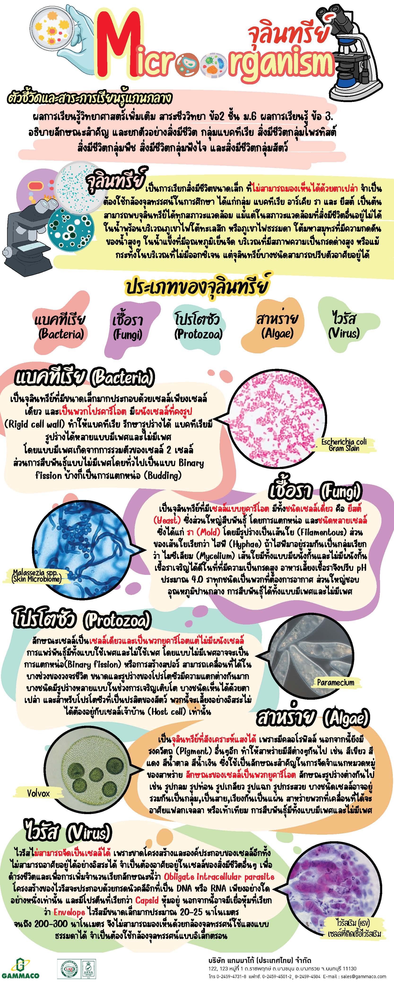 จุลินทรีย์ (Microorganism)