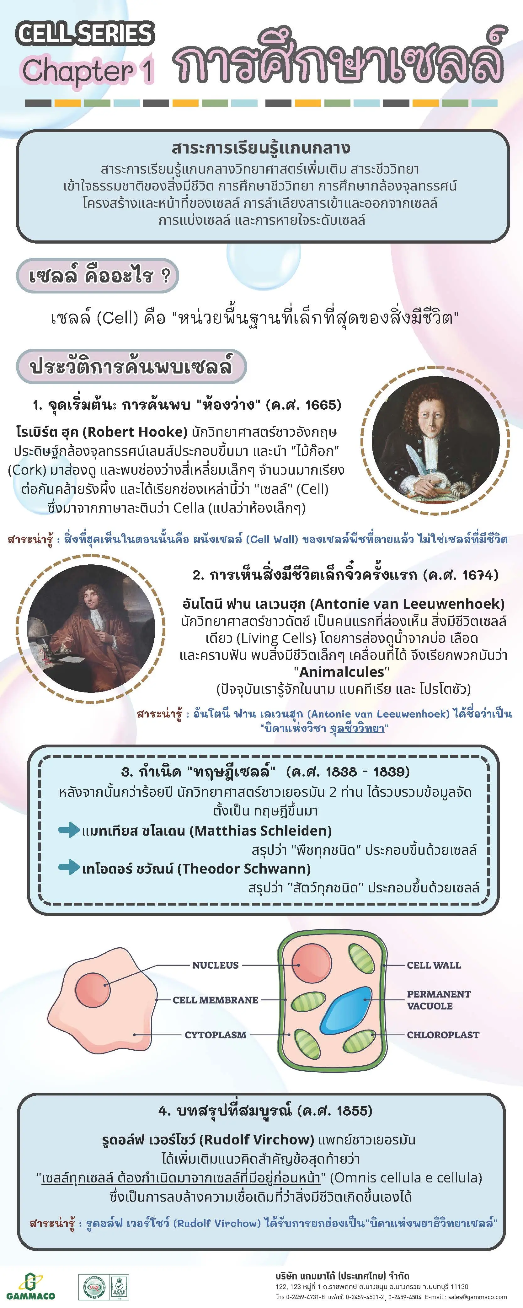 การศึกษาเซลล์