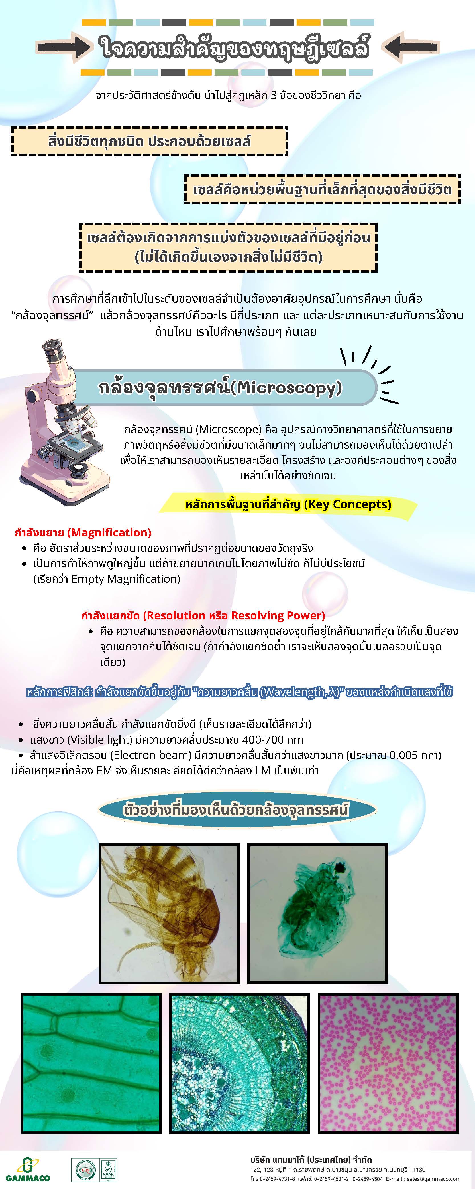 Cell Series - Chapter 1 P2