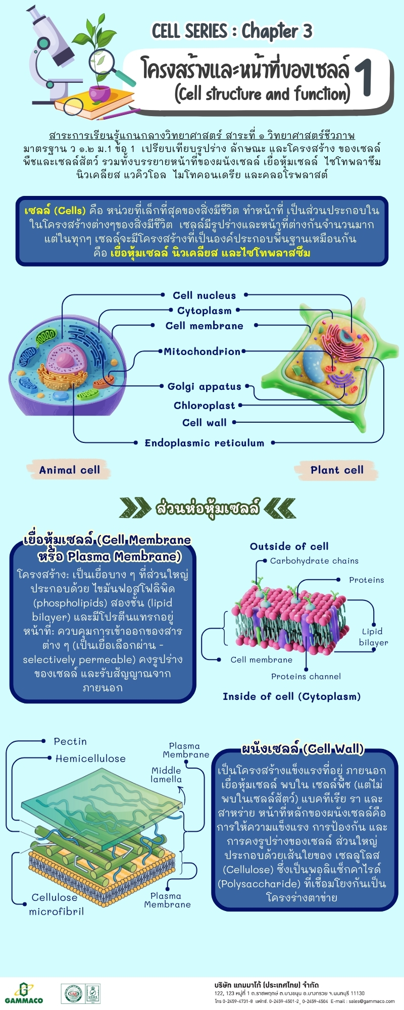 Cell Series - Chapter 3 P1