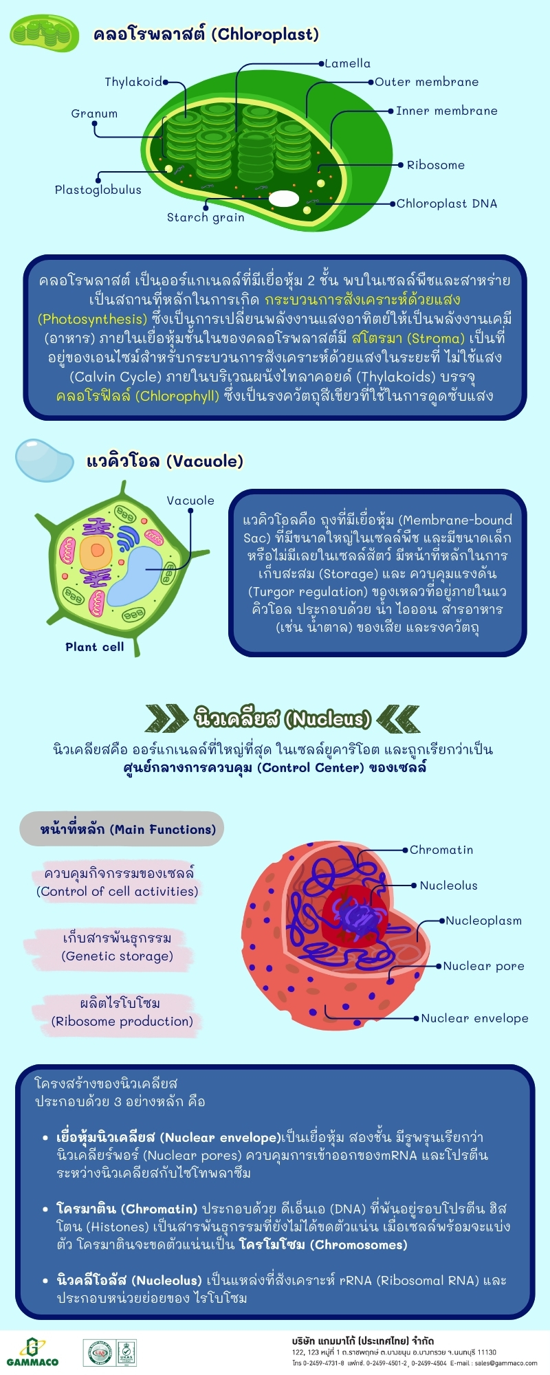 Cell Series - Chapter 3 P4