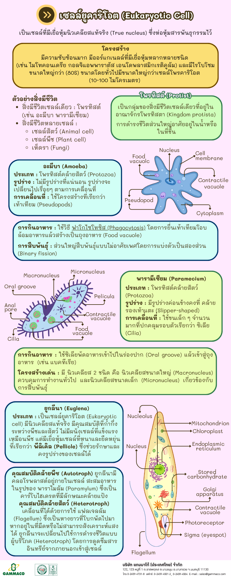 Cell Series - Chapter 4 P2
