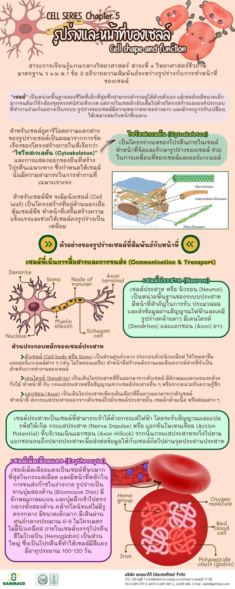 Cell Series - Chapter 5 P1