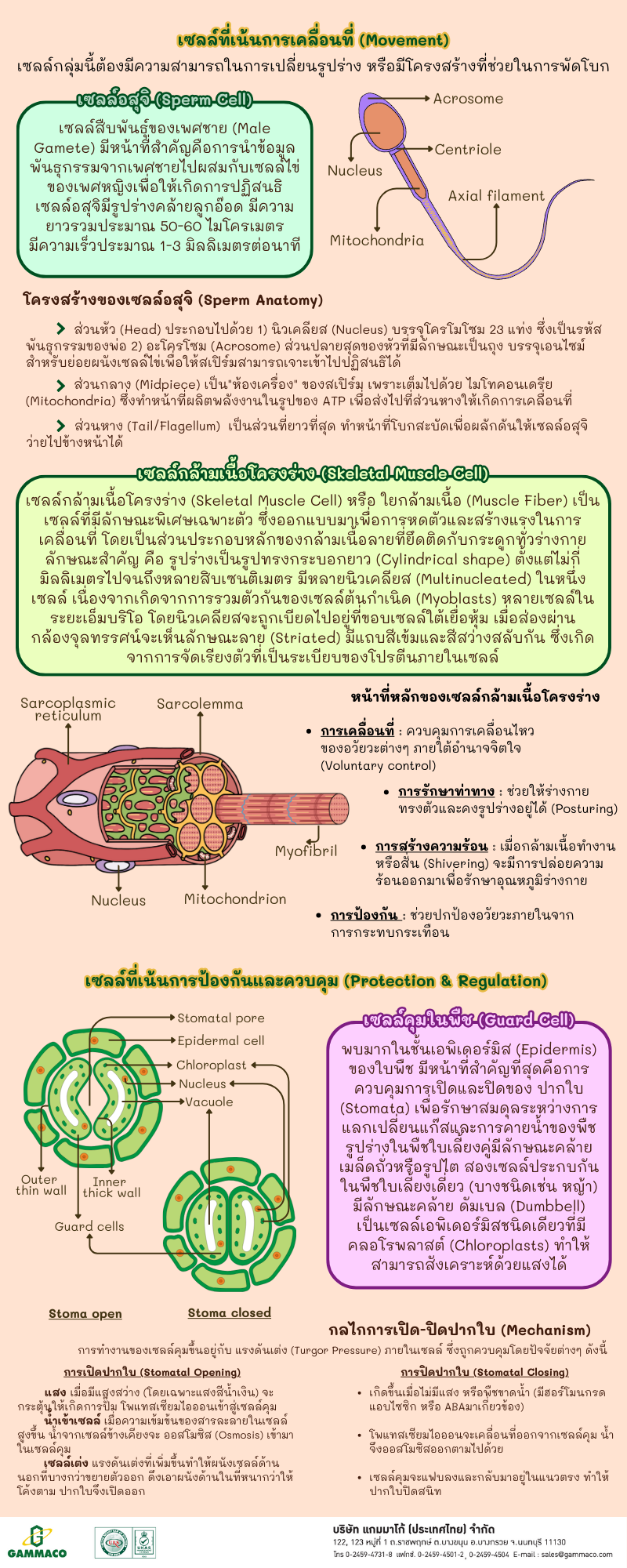 Cell Series - Chapter 5 P2