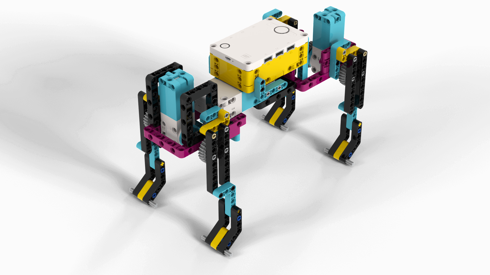 The Dog Blueprint - 41